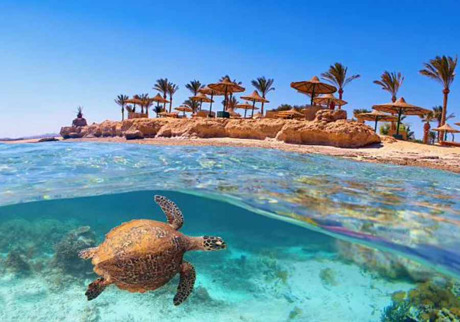Sharm Excursions, Egypt