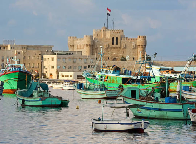 Egypt Alexandria Port