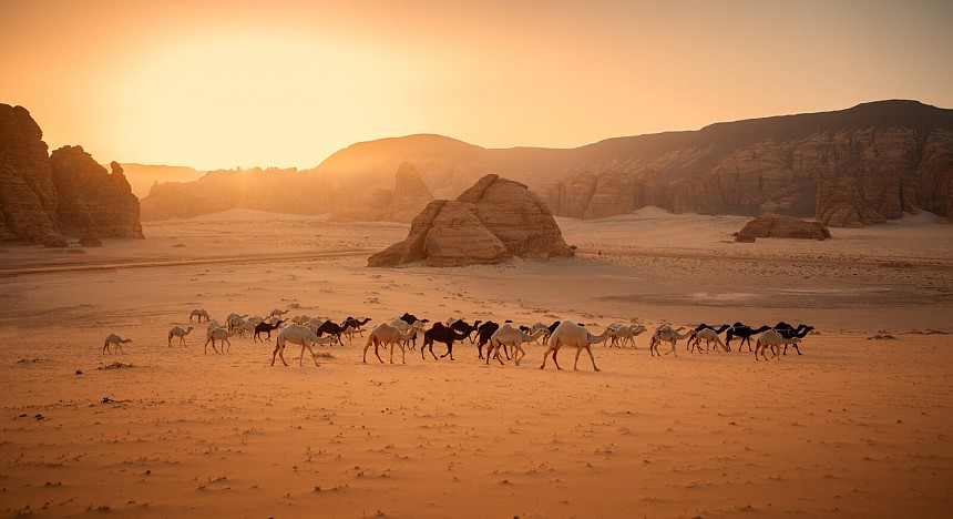 Excursiones en Arabia Saudí