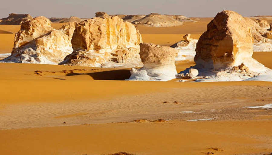 Belleza del desierto