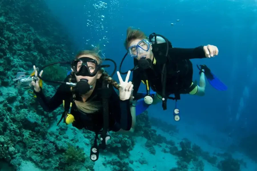 Snorkeling trip on Guiftun Island in the Red Sea