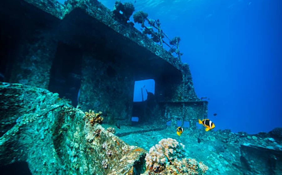 Ras Mohammed National Park from Sharm day tour