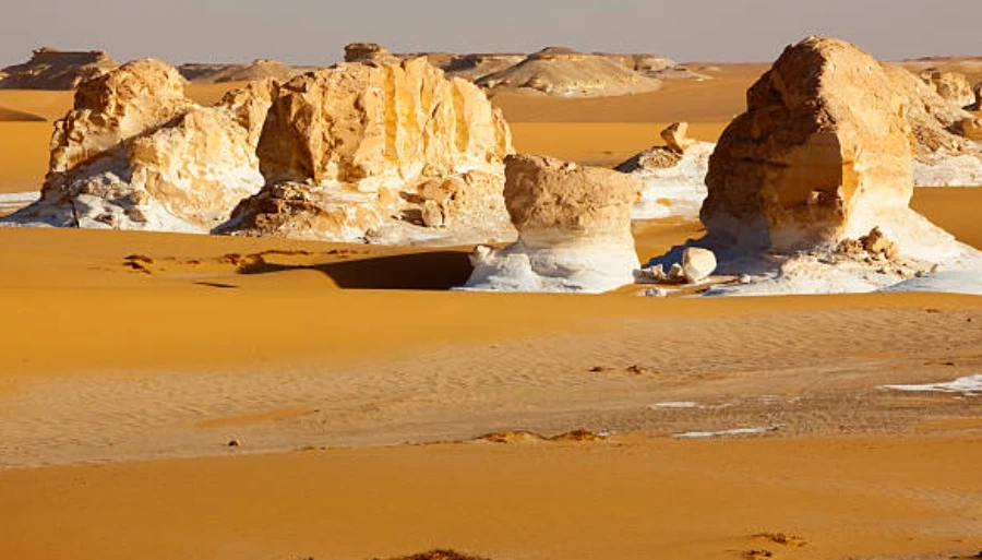 White Desert Travel Package