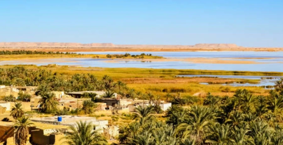 White Desert Travel Package