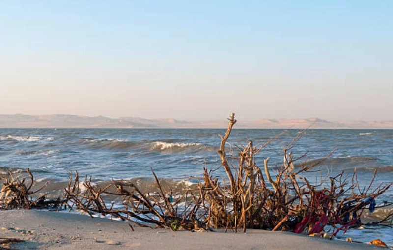 Excursion to visit Al-Fayoum Oasis from Cairo