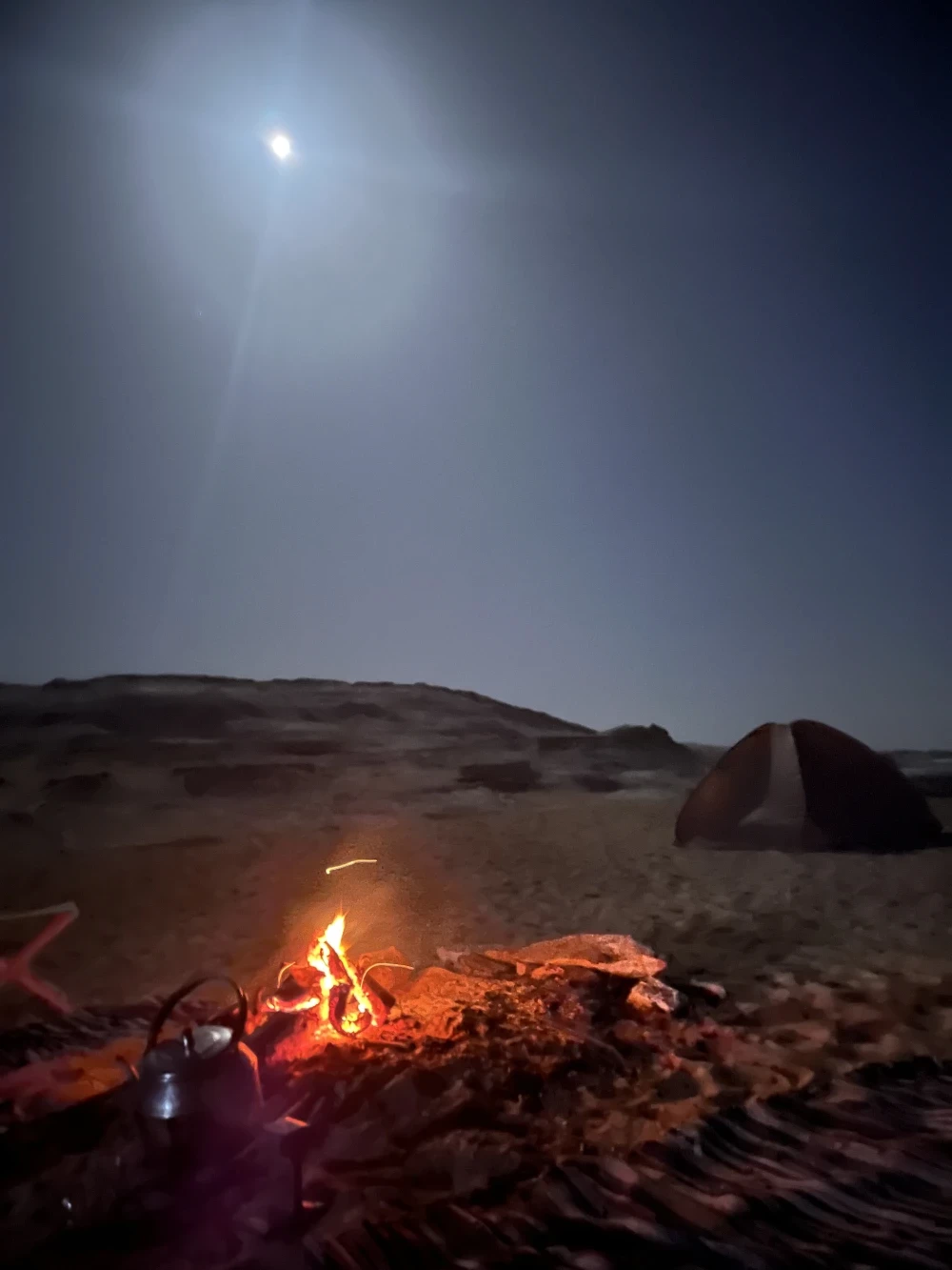 Belleza del desierto
