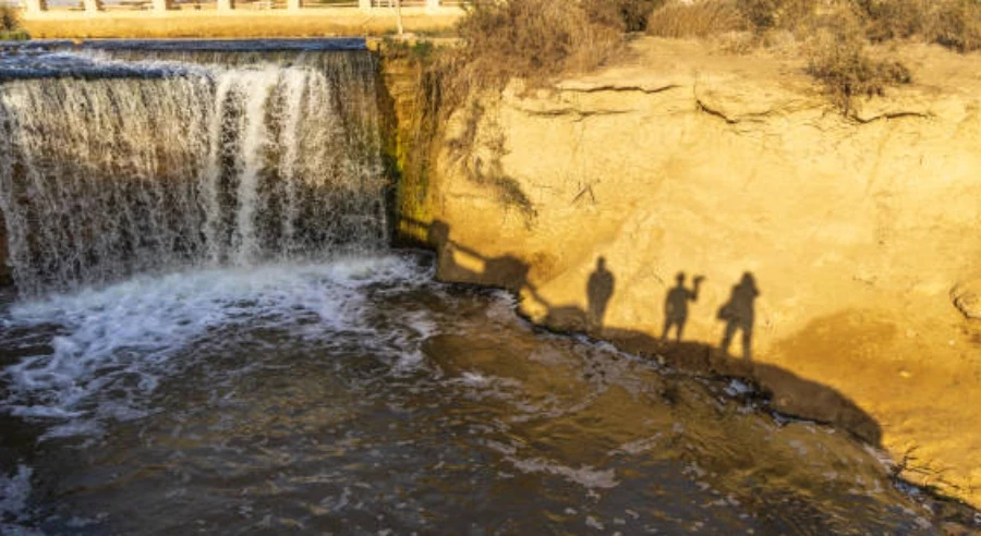 Excursión para visitar el Oasis del Fayum desde El Cairo