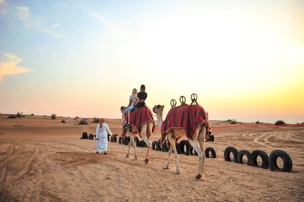 Visites guidées de Dubaï