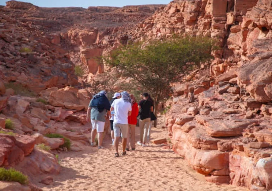 Tour to Mount Sinai and St Catherine Monastery from Cairo