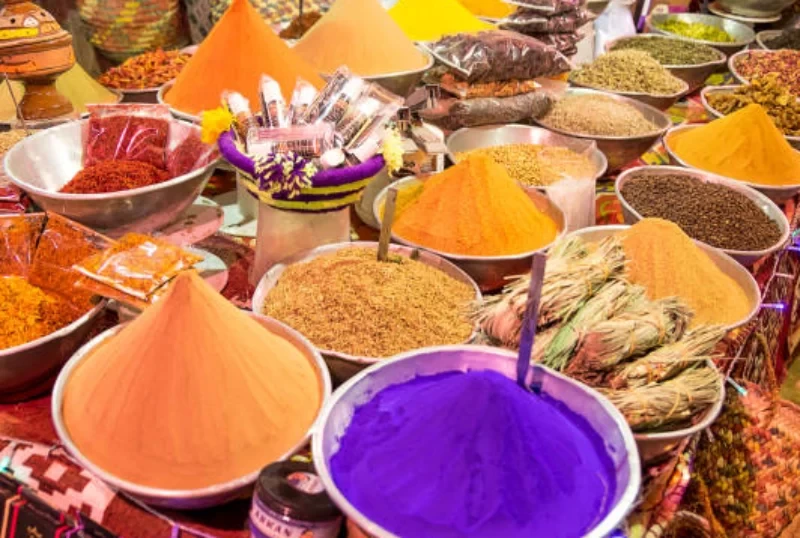  The Nubian Village from Aswan day tour