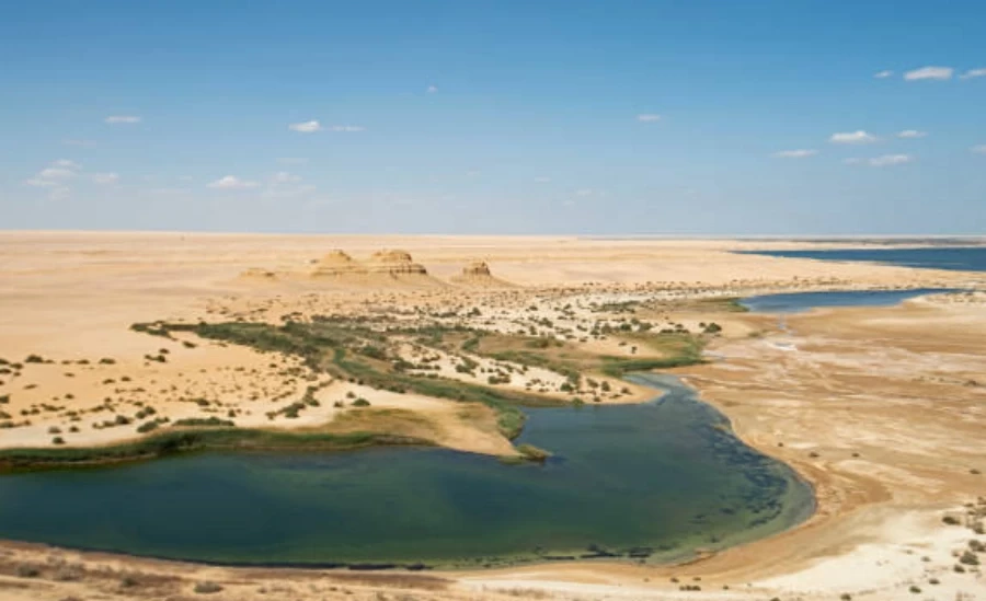 Excursión para visitar el Oasis del Fayum desde El Cairo